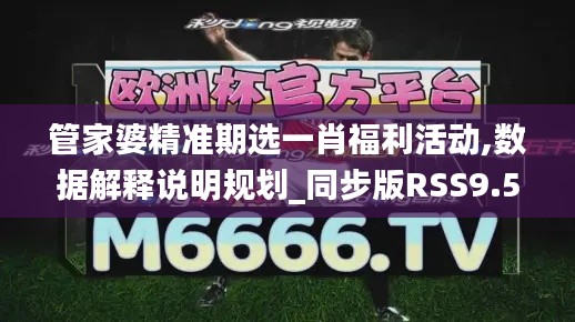 管家婆精準期選一肖福利活動,數據解釋說明規劃_同步版RSS9.54