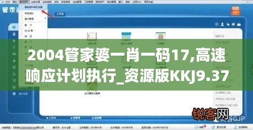 2004管家婆一肖一碼17,高速響應計劃執行_資源版KKJ9.37