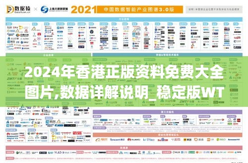 2024年香港正版資料免費大全圖片,數據詳解說明_穩定版WTG9.68