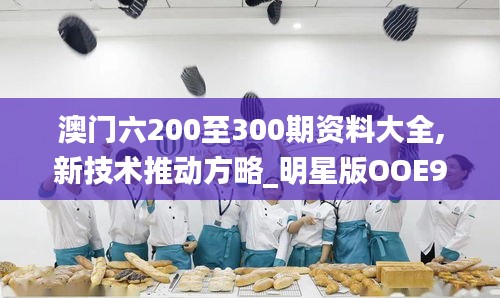 澳門六200至300期資料大全,新技術推動方略_明星版OOE9.93