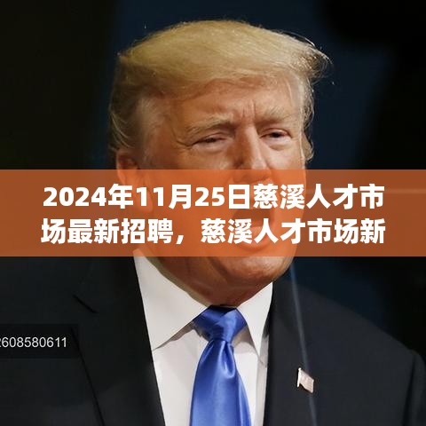 慈溪人才市場最新招聘，探尋內心寧靜與力量的新篇章（2024年11月25日）