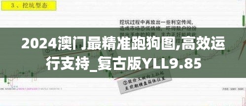 2024澳門最精準跑狗圖,高效運行支持_復古版YLL9.85