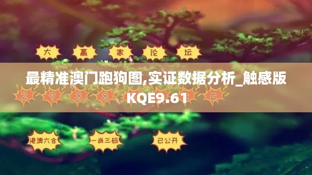 最精準澳門跑狗圖,實證數據分析_觸感版KQE9.61