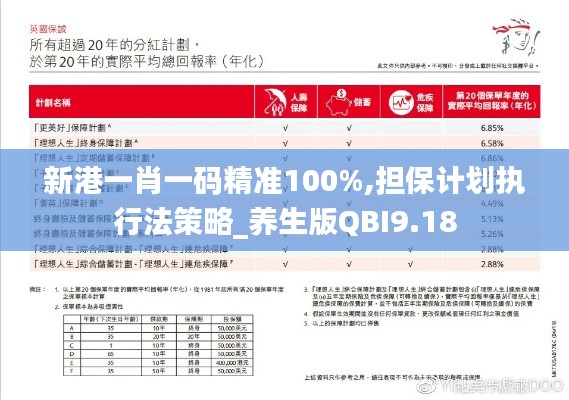 新港一肖一碼精準100%,擔保計劃執行法策略_養生版QBI9.18