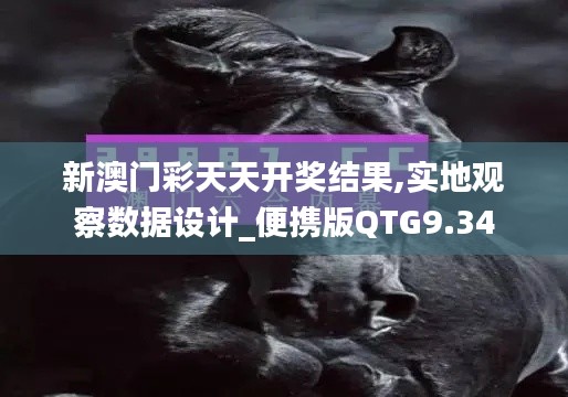 新澳門彩天天開獎結果,實地觀察數據設計_便攜版QTG9.34