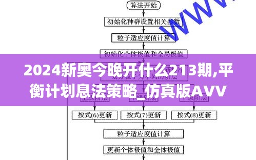 2024新奧今晚開什么213期,平衡計劃息法策略_仿真版AVV9.2