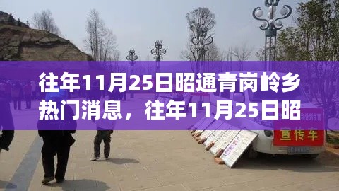 往年11月25日昭通青崗嶺鄉(xiāng)熱門消息深度解析，特性、體驗、競品對比與用戶洞察