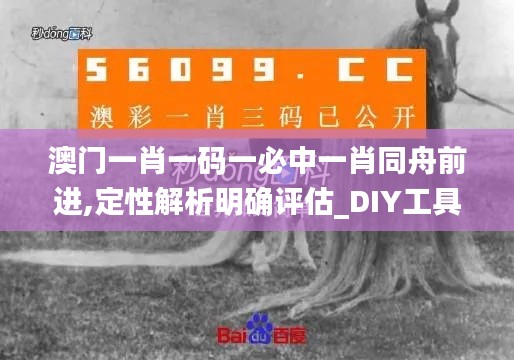 澳門一肖一碼一必中一肖同舟前進,定性解析明確評估_DIY工具版FAQ9.57