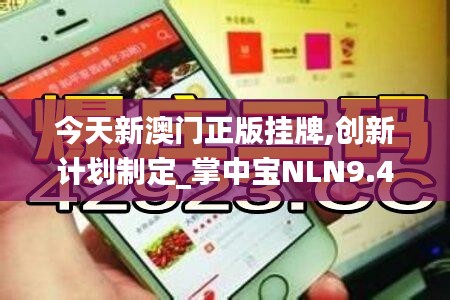 今天新澳門正版掛牌,創新計劃制定_掌中寶NLN9.46