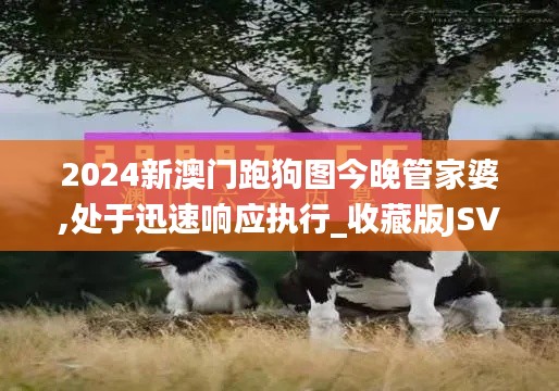 2024新澳門跑狗圖今晚管家婆,處于迅速響應執行_收藏版JSV9.50