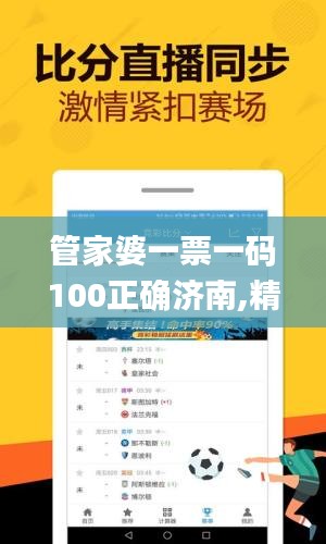 管家婆一票一碼100正確濟南,精細評估方案_先鋒實踐版EIO9.85