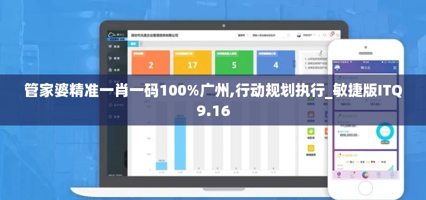 管家婆精準一肖一碼100%廣州,行動規劃執行_敏捷版ITQ9.16