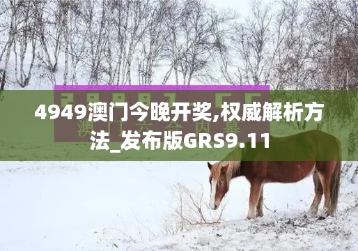 4949澳門今晚開獎,權威解析方法_發布版GRS9.11