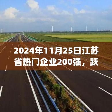 江蘇省企業巔峰榜，勵志故事與變化成就榮耀之路（2024年江蘇省熱門企業200強）