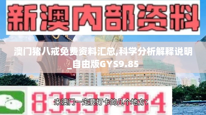 澳門豬八戒免費資料匯總,科學分析解釋說明_自由版GYS9.85