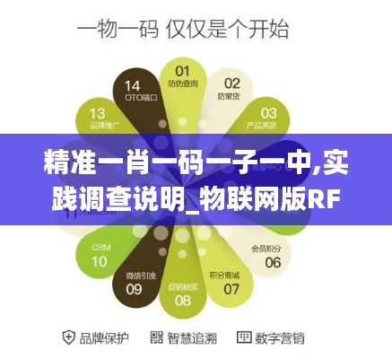 精準一肖一碼一子一中,實踐調查說明_物聯網版RFQ9.46