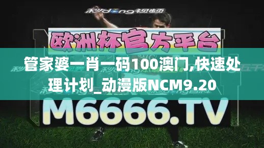 管家婆一肖一碼100澳門,快速處理計劃_動漫版NCM9.20