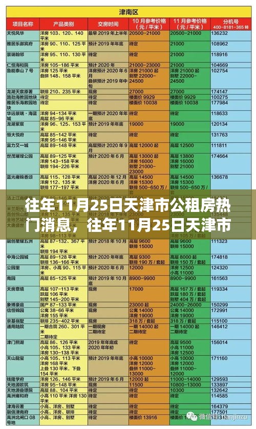 往年11月25日天津市公租房熱門消息全面解析，特性、體驗、競爭態勢與目標用戶分析