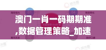 澳門一肖一碼期期準,數據管理策略_加速版EFQ9.81