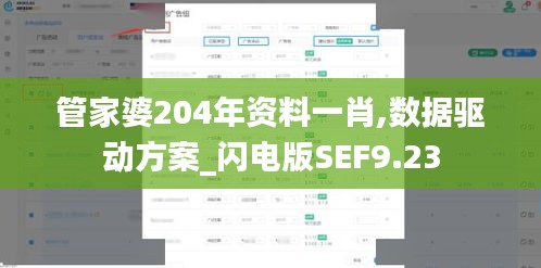 管家婆204年資料一肖,數據驅動方案_閃電版SEF9.23