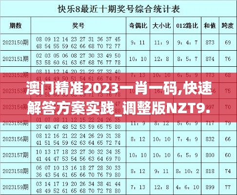 澳門精準2023一肖一碼,快速解答方案實踐_調整版NZT9.62