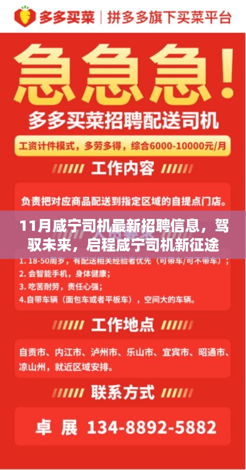 11月咸寧司機最新招聘信息，駕馭未來，啟程新征程！