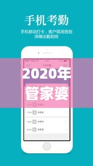 2020年管家婆免費資料大全,效率評估方案_隨身版ZHW9.52