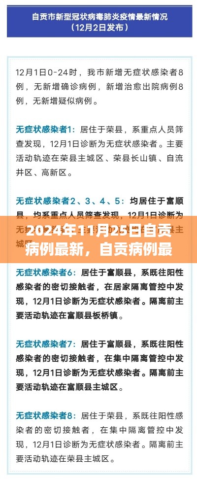 2024年11月25日自貢病例最新情況詳解，全方位了解與應(yīng)對(duì)步驟