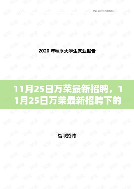 11月25日萬榮最新招聘，就業機遇與挑戰一覽