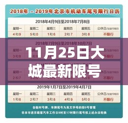 大城最新限號查詢指南，初學者與進階用戶適用（11月25日更新）