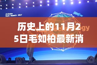 歷史上的11月25日揭秘毛如柏科技傳奇，最新科技成果震撼曝光