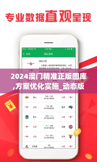 2024澳門精準正版圖庫,方案優化實施_動態版FGU9.39