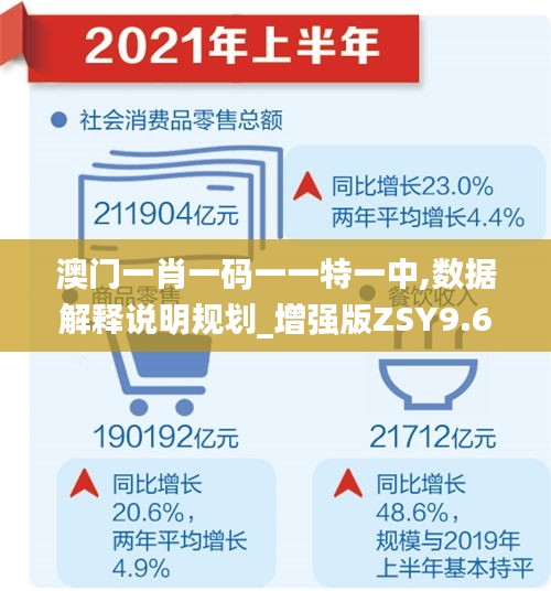 澳門一肖一碼一一特一中,數據解釋說明規劃_增強版ZSY9.65