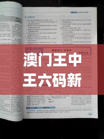 澳門王中王六碼新澳門,策略優化計劃_零售版PWG9.54