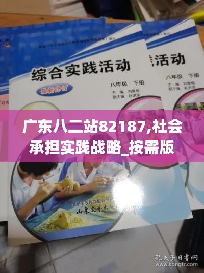 廣東八二站82187,社會承擔實踐戰略_按需版BYY9.14