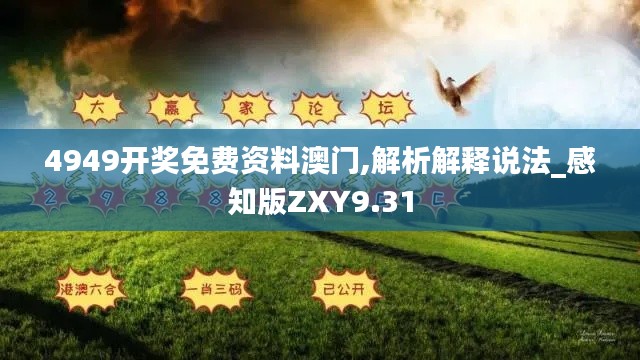 4949開獎免費資料澳門,解析解釋說法_感知版ZXY9.31