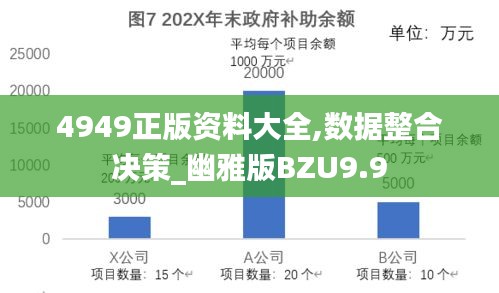 4949正版資料大全,數(shù)據(jù)整合決策_(dá)幽雅版BZU9.9