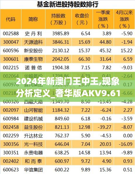 2024年新澳門王中王,現(xiàn)象分析定義_奢華版AKV9.61