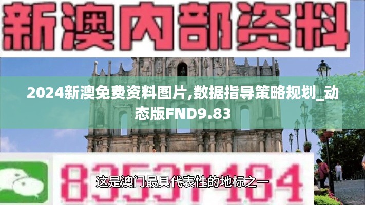 2024新澳免費資料圖片,數據指導策略規劃_動態版FND9.83