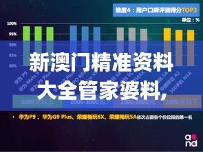 新澳門精準資料大全管家婆料,系統分析方案設計_社交版PTL9.15