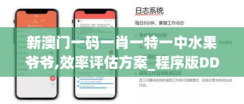 新澳門一碼一肖一特一中水果爺爺,效率評估方案_程序版DDO9.65