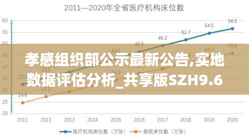 孝感組織部公示最新公告,實地數據評估分析_共享版SZH9.64