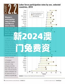 新2024澳門兔費資料,實證分析細明數據_高清晰度版RCU9.23