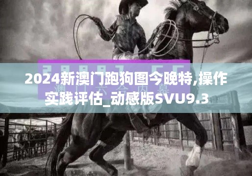 2024新澳門跑狗圖今晚特,操作實踐評估_動感版SVU9.3