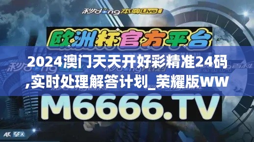 2024澳門天天開好彩精準24碼,實時處理解答計劃_榮耀版WWP9.68