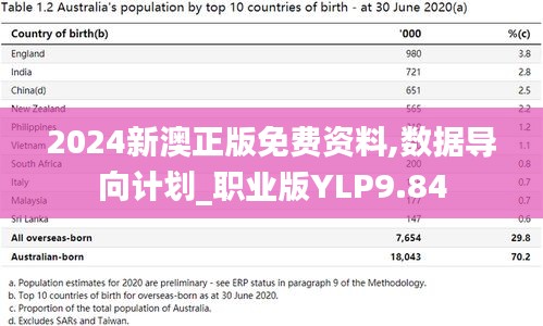 2024新澳正版免費資料,數據導向計劃_職業版YLP9.84