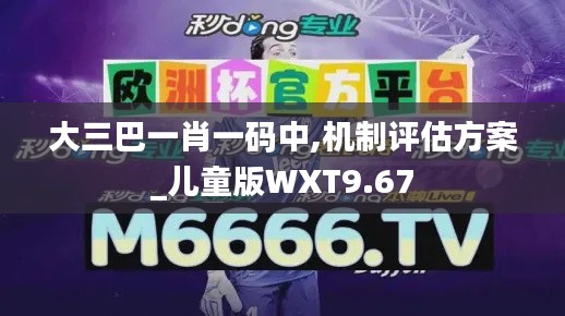 大三巴一肖一碼中,機制評估方案_兒童版WXT9.67