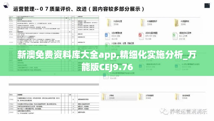 新澳免費資料庫大全app,精細化實施分析_萬能版CEJ9.76