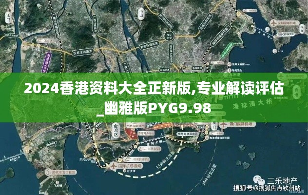 2024香港資料大全正新版,專業(yè)解讀評估_幽雅版PYG9.98