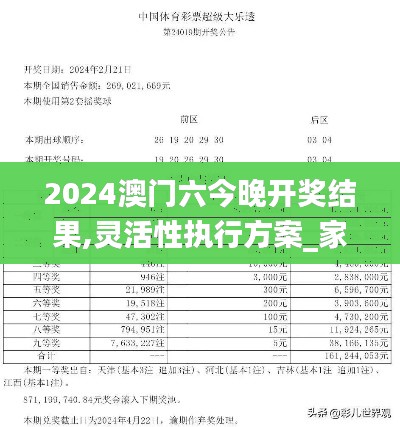 2024澳門六今晚開獎結果,靈活性執行方案_家庭版YZQ9.51